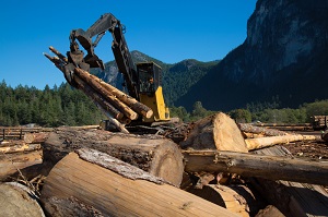 Forestry Equipment