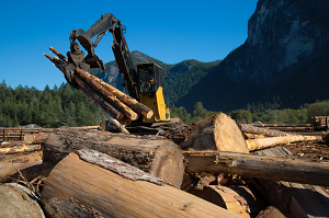 Picture of machinery moving lumber
