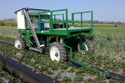 Picture of Robots Picking Fruit