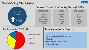 Global Ceiling Tiles Market Infographic