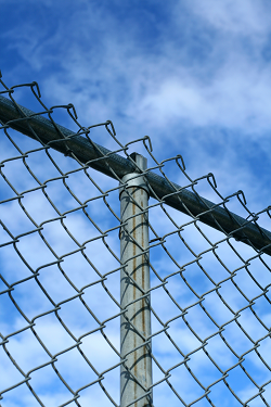 Picture of Chain Link Fence