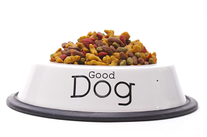 Picture of a bowl with Dog Food