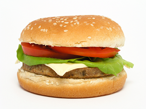 Picture of a Hamburger