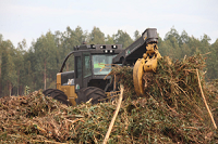 Global Forestry Equipment