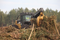 forestry equipment market global sales region 2nd edition decelerate advances pace grow canadian healthy while