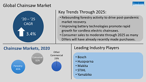 Infographic with key insights for global chainsaws market