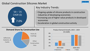 Global Construction Silicones Infographic
