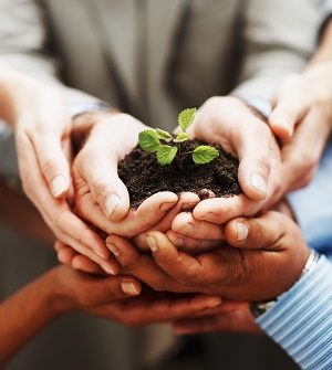 Hands Holding Soil and Plant Growing