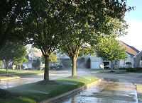 Lawn and Garden Watering