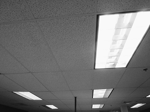 Ceilings Market In The Us By Product Market Region And Building