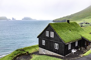 Vegetative Roofing