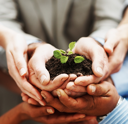 Lawn & Garden Consumer Insights: The Home Gardener Hands Holding Soil and Plant Growing