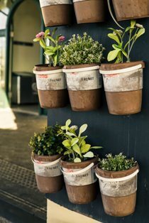 Six rustic clay pots mounted on a vertical wall, each containing small green plants and flowers. The pots have worn white labels and are arranged in two vertical rows, with sunlight illuminating part of the background.