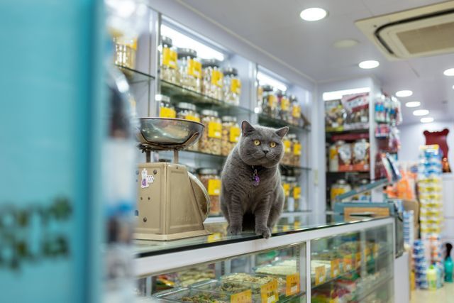 pet-supplies