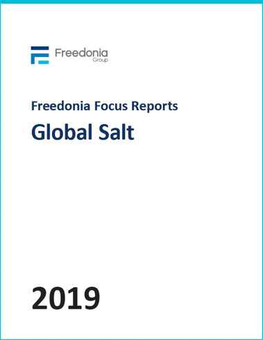 Global Salt cover