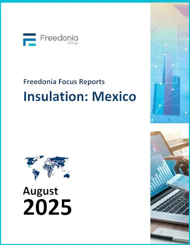 Insulation: Mexico Report cover