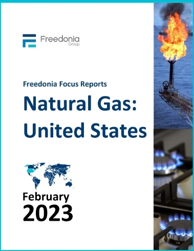 Natural Gas: United States cover