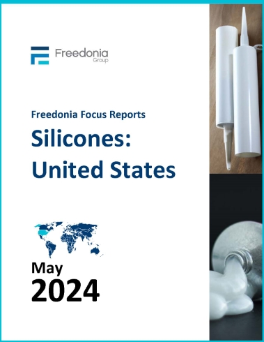 Silicones: United States cover