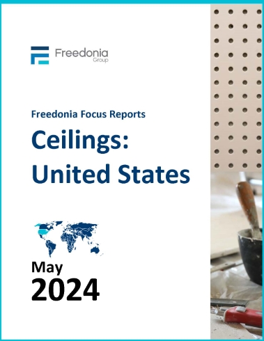 Ceilings: United States cover
