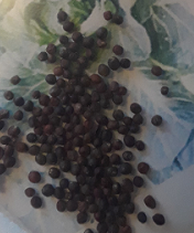 Lawn & Garden Seeds Loose seeds for lawns and gardens