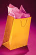 Shopping Paper Bag