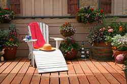 WPC & Plastic Lumber Wood-Plastic Composite